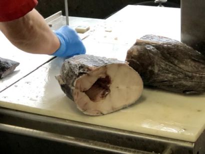 高知鯨工場イメージ